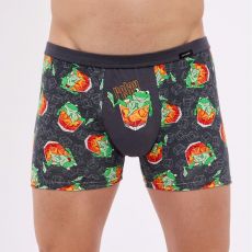 Pánské boxerky Cornette 280/233