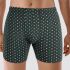 Pánské boxerky Andrie 6053